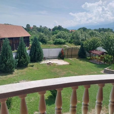 Serena House Cîrţişoara Exteriör bild