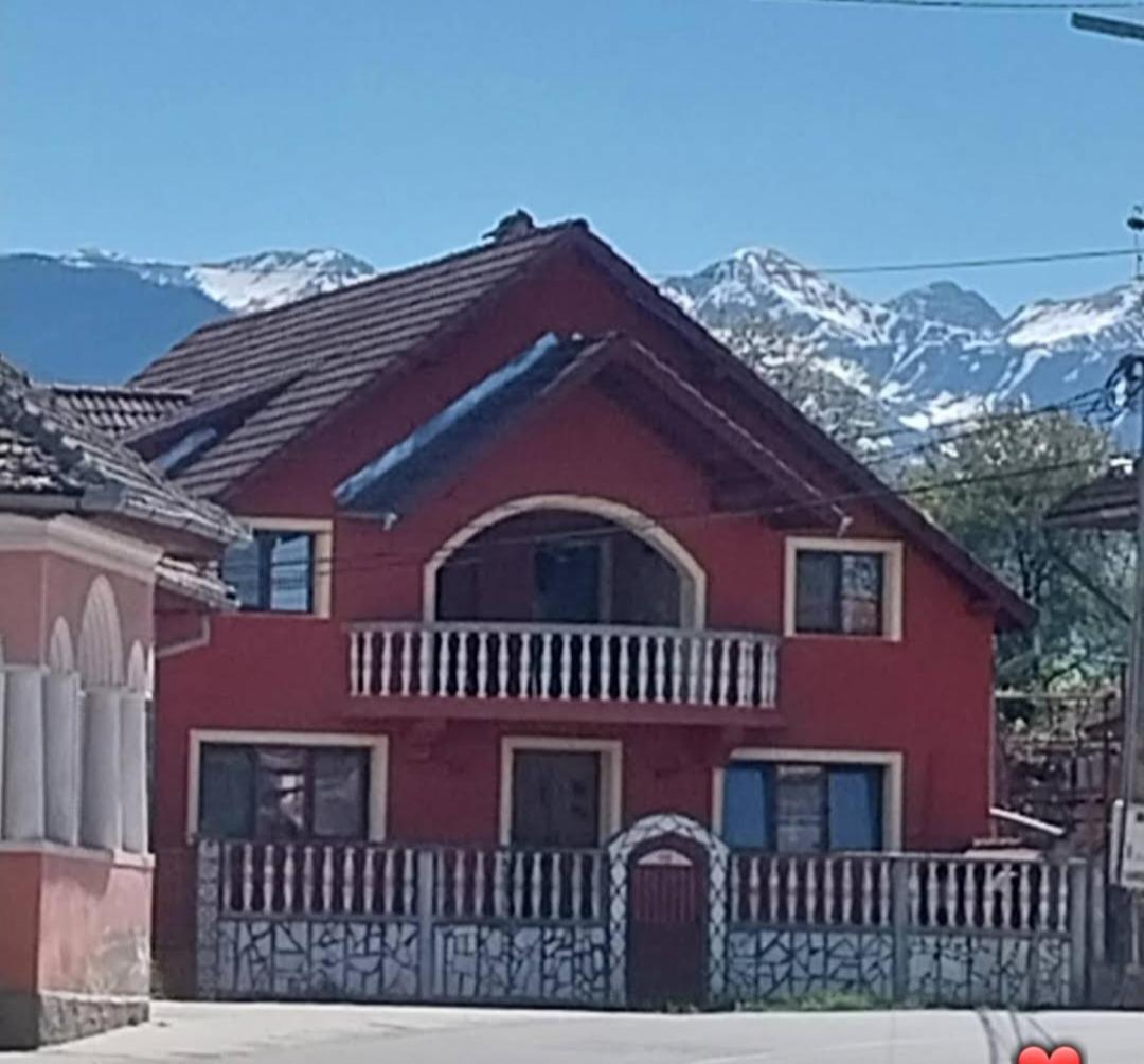 Serena House Cîrţişoara Exteriör bild